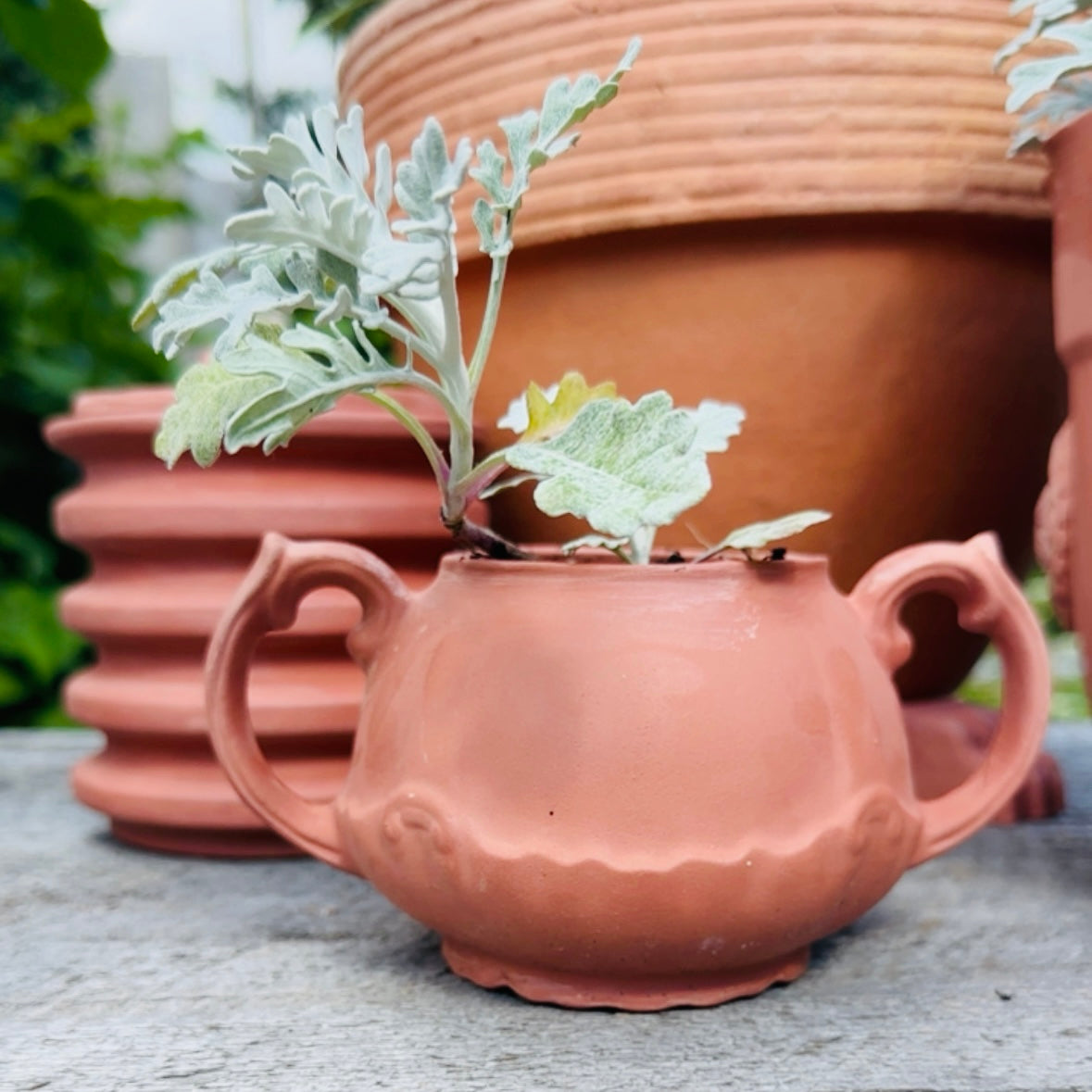 HANDMADE ENGLISH DOUBLE HANDLED TERRACOTTA POT