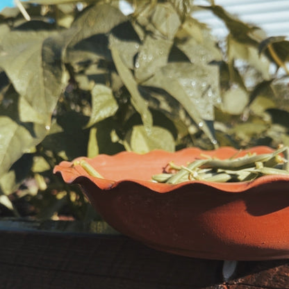 TERRACOTTA HARVEST BOWL & BULB POT