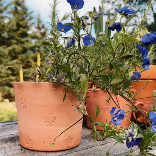 SCALLOP EDGE BLOCKPRINT TERRACOTTA POT