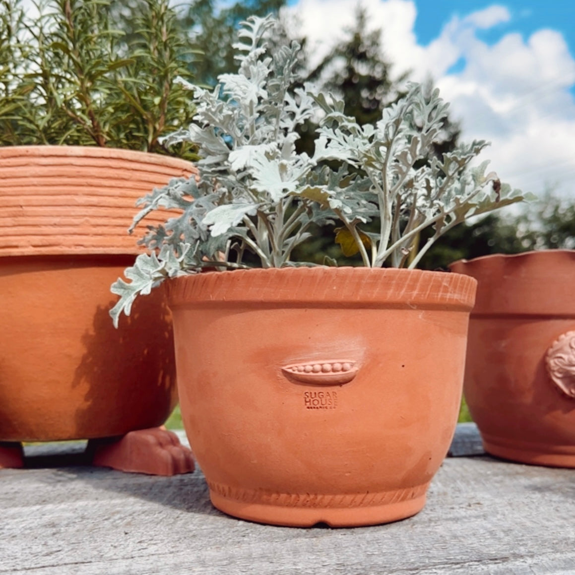 HANDMADE AGED TERRACOTTA POT WITH PEA POD
