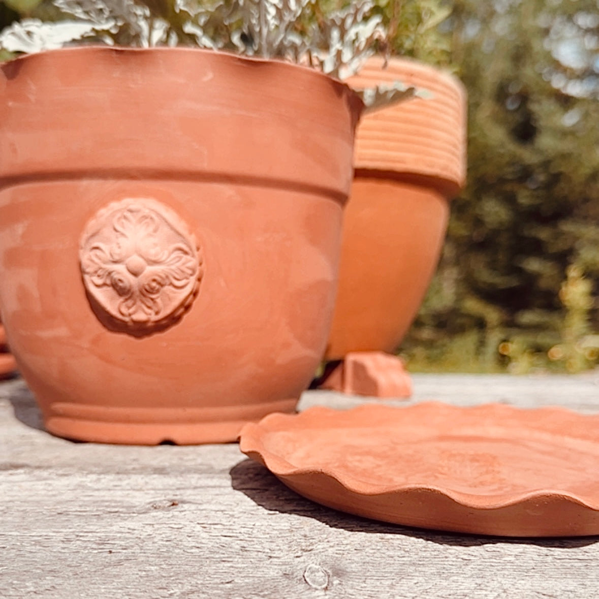 HANDMADE FRENCH MEDALLION TERRACOTTA POT