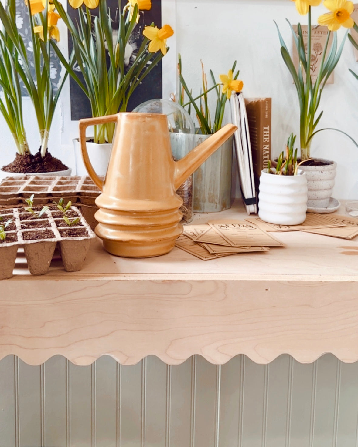 Wooden table with a watering can, plants, and gardening supplies against a white wall.