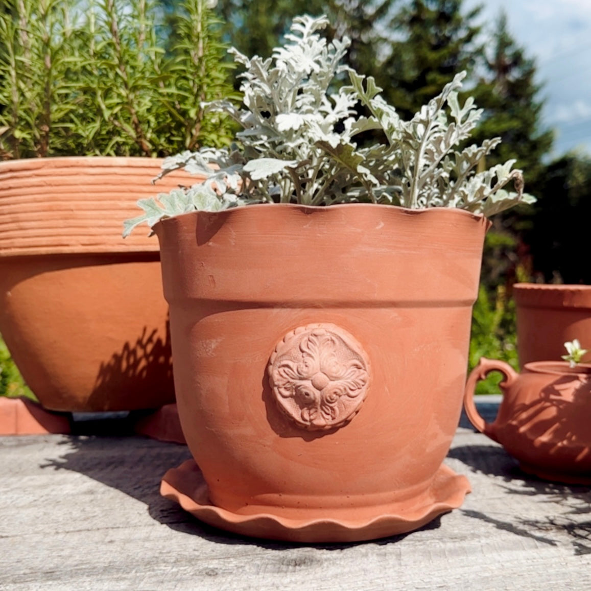 HANDMADE FRENCH MEDALLION TERRACOTTA POT