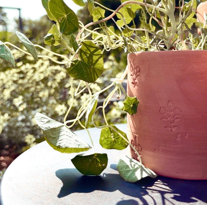 HANDMADE AGED BLOCKPRINT TERRACOTTA POT