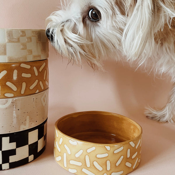 Homegoods dog clearance bowls